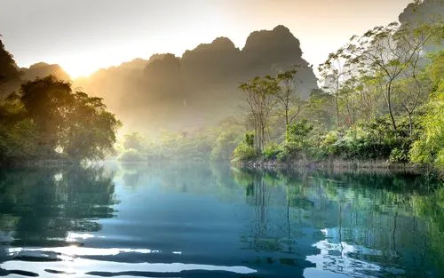 科技高效